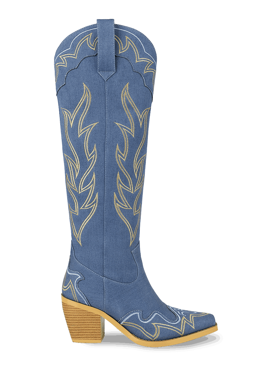 Wetkiss Western Boots - JX012 - Aspect