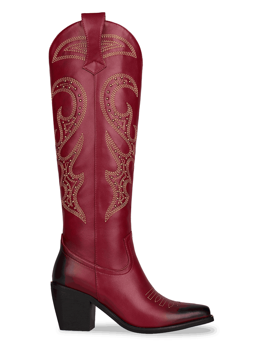 Wetkiss Red Rivets Western Boots - JX013 - Aspect