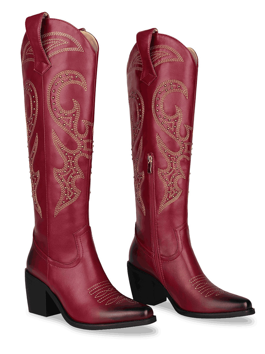 Wetkiss Red Rivets Western Boots - JX013 - Aspect